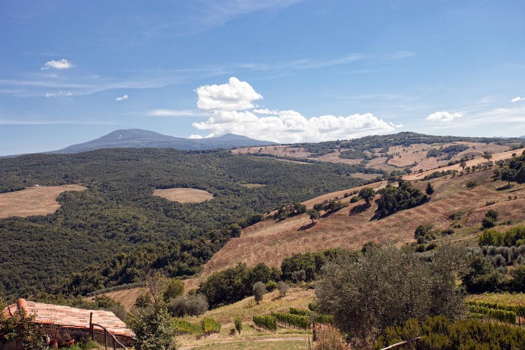 Podere Casella Villa Castiglione dʼOrcia Kültér fotó